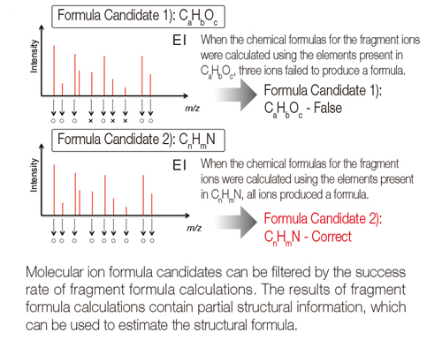 EI Fragment Ion Analysis