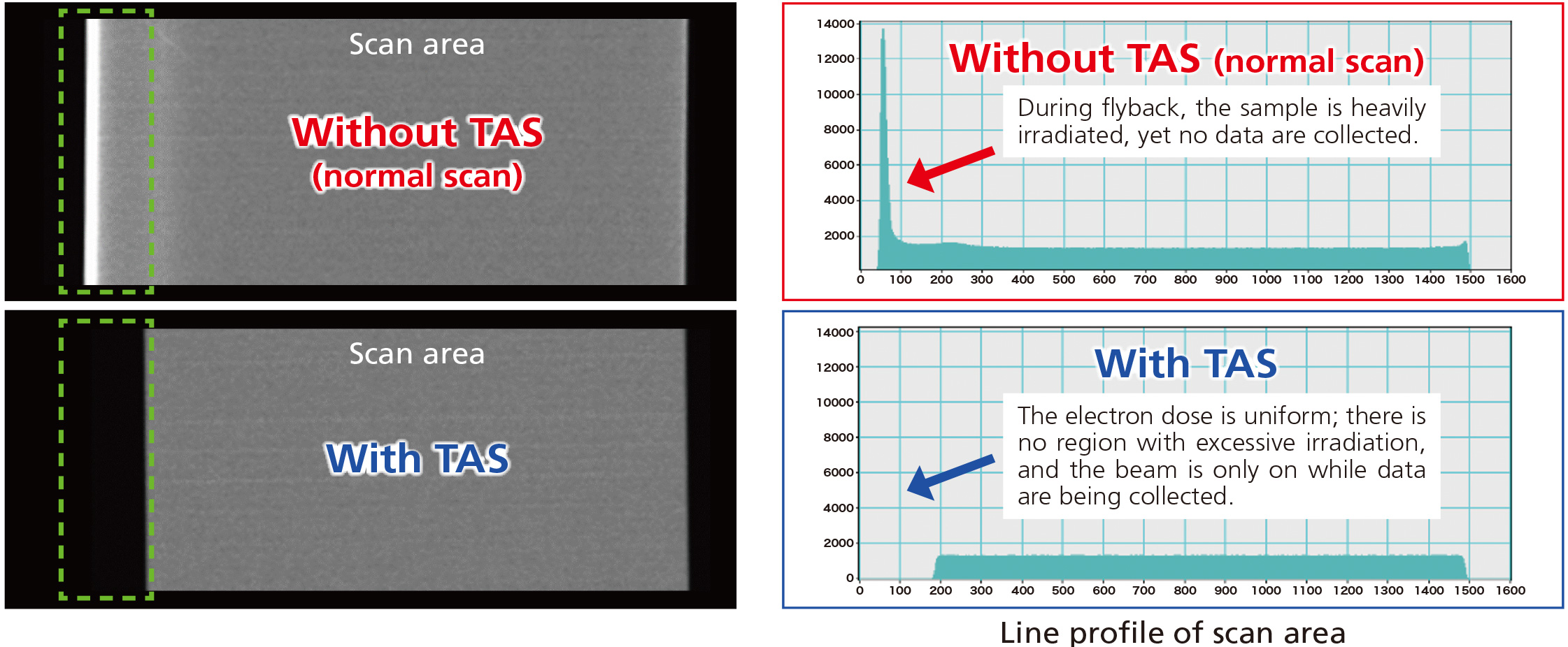 True Area Scan (TAS) EDS measurement with reduced beam damage