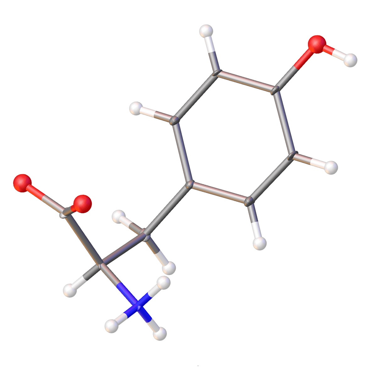 L-Tyrosine