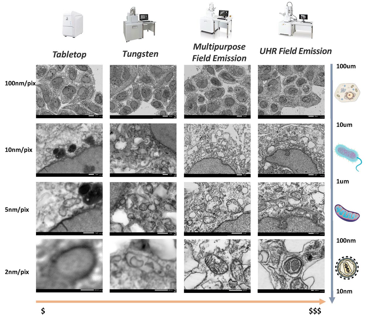 Choose the Right SEM for Your Lab | JEOL Resources