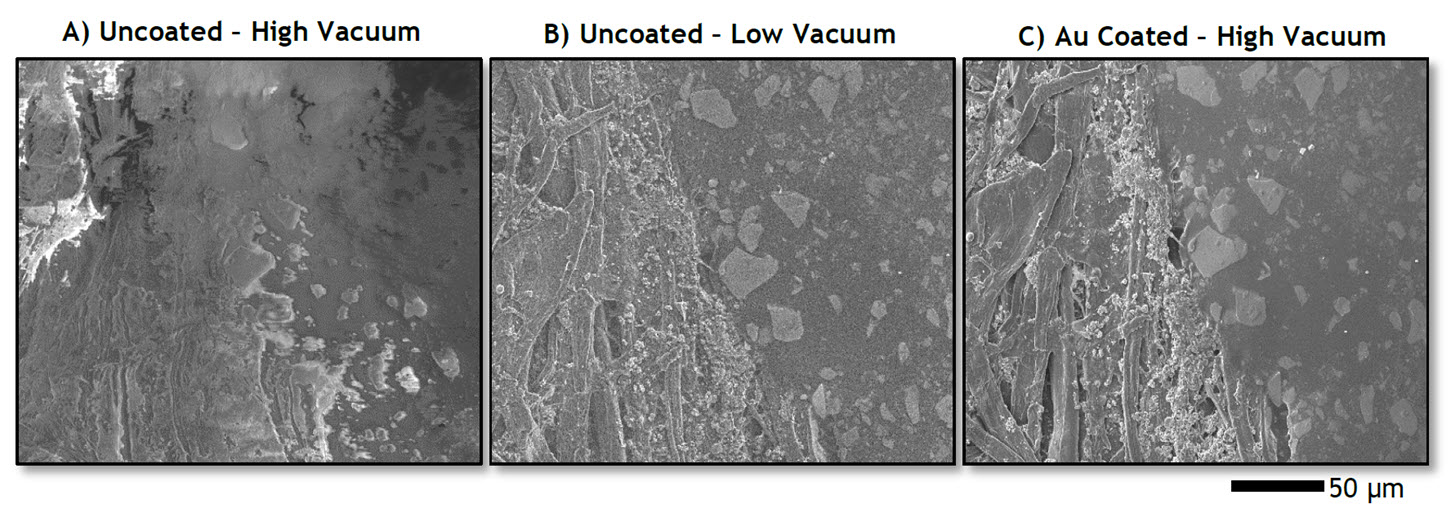 Figure 1. Organic mineral-filled ink on calcium carbonate-coated cellulose paper.