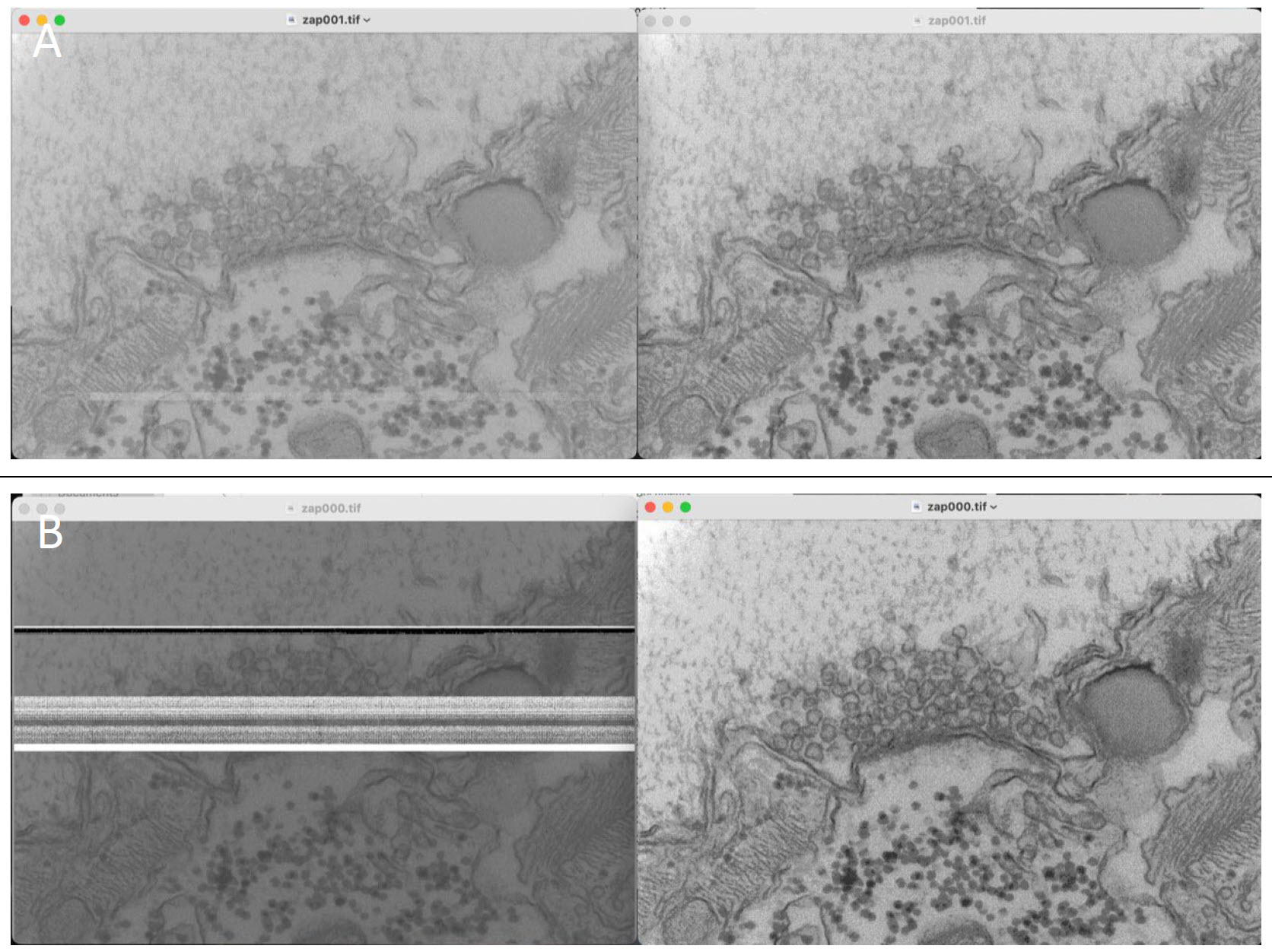 Fig. 1: (A) Images after a bad copy (left) and a good copy (right) showing subtle artefacts. (B) Same as (a) but now showing considerable corruption.