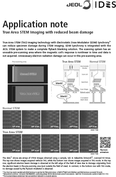 True Area STEM Imaging with reduced beam damage