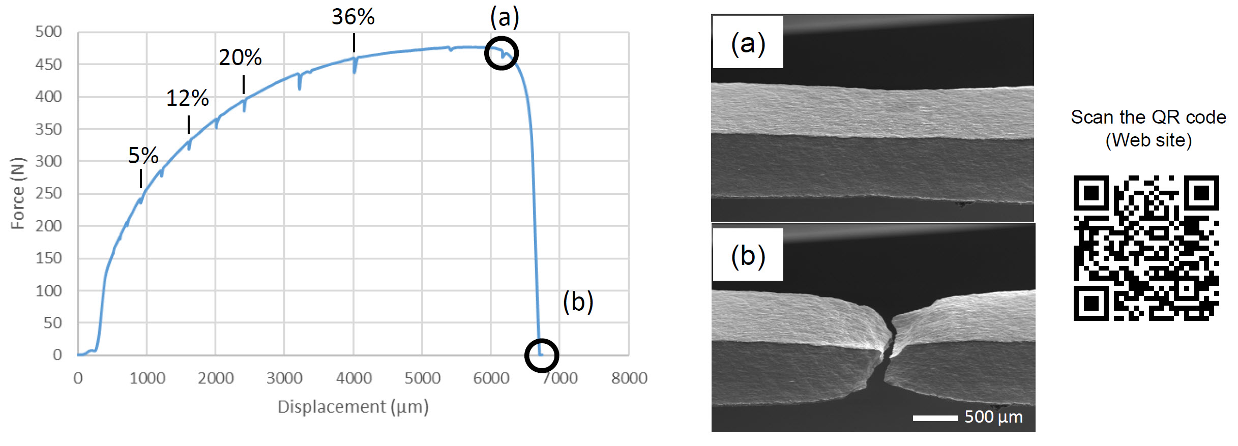 Figure 2. Load-displacement curve and low-magnification SEM images of the copper specimen: (a) just before fracture, (b) after fracture.