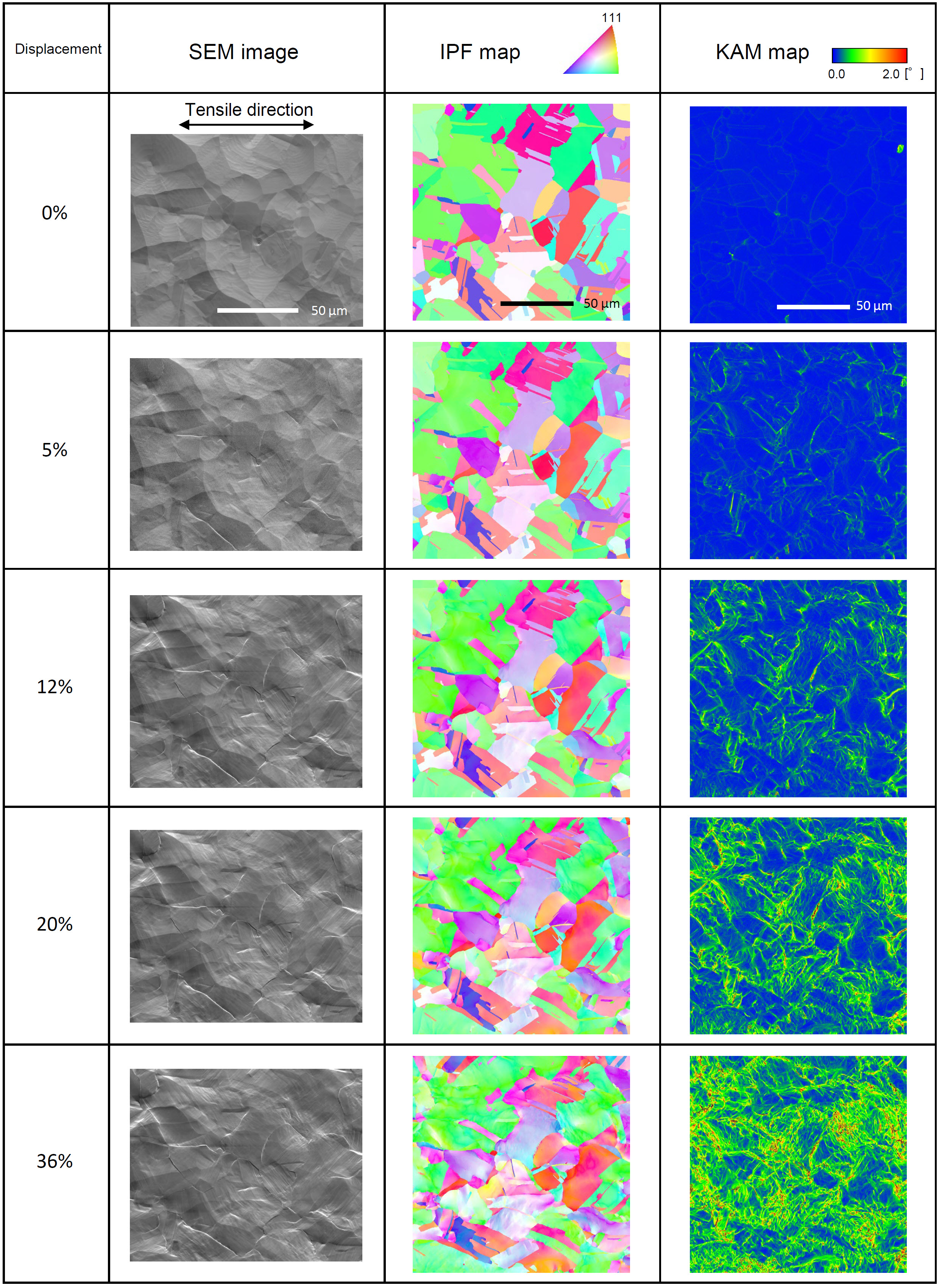 Figure 3. SEM images, IPF maps, and KAM maps at displacement levels of 0%, 5%, 12%, 20%, and 36%.